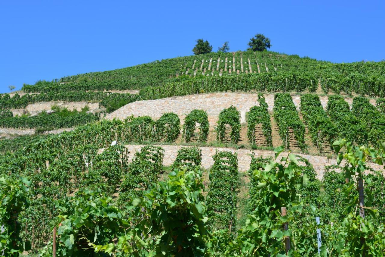 Lamaisondemamere Tournon-sur-Rhone Zewnętrze zdjęcie