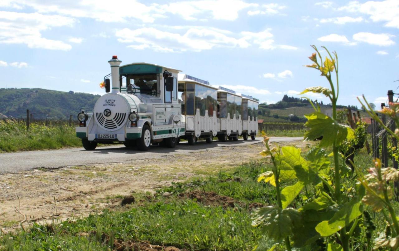 Lamaisondemamere Tournon-sur-Rhone Zewnętrze zdjęcie